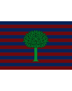 Flag: Floresta  Boyacá | Municipio de Floresta  Boyacá |  landscape flag | 1.35m² | 14.5sqft | 90x150cm | 3x5ft 