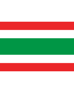 Flag: Jardín  Antioquia | Municipio de Jardín  Antioquia |  landscape flag | 1.35m² | 14.5sqft | 90x150cm | 3x5ft 