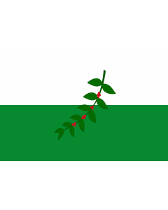 Flag: La Celia  Risaralda | Municipio de La Celia  Risaralda |  landscape flag | 2.16m² | 23sqft | 120x180cm | 4x6ft 