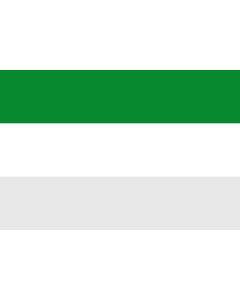 Flag: La Macarena  Meta | Municipio de La Macarena  Meta |  landscape flag | 1.35m² | 14.5sqft | 90x150cm | 3x5ft 
