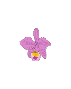 Flag: Macanal  Boyacá | Municipio de Macanal  Boyacá |  landscape flag | 1.35m² | 14.5sqft | 90x150cm | 3x5ft 