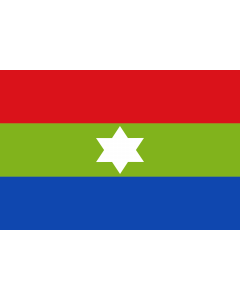 Flag: Maicao  La Guajira | Municipio de Maicao  La Guajira |  landscape flag | 2.16m² | 23sqft | 120x180cm | 4x6ft 