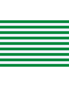 Flag: Meta Department. Drawn by Fibonacci |  landscape flag | 0.06m² | 0.65sqft | 20x30cm | 8x12in 