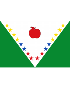 Flag: Nuevo Colón  Boyacá | Municipio de Nuevo Colón  Boyacá |  landscape flag | 2.16m² | 23sqft | 120x180cm | 4x6ft 