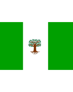 Drapeau: Pachavita | Municipio de Pachavita |  drapeau paysage | 2.16m² | 120x180cm 