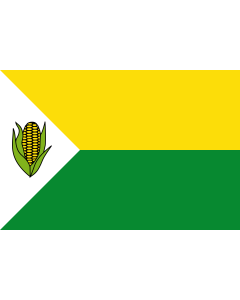 Flag: Pelaya  Cesar | Municipio de Pelaya  Cesar |  landscape flag | 1.35m² | 14.5sqft | 90x150cm | 3x5ft 
