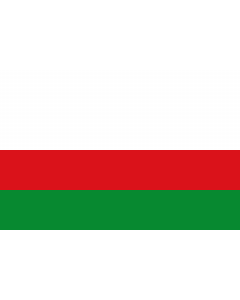 Flag: Piedras  Tolima | Municipio de Piedras  Tolima |  landscape flag | 1.35m² | 14.5sqft | 90x150cm | 3x5ft 