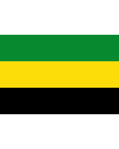Flag: Puerto Libertador  Córdoba | Municipio de Puerto Libertador  Córdoba |  landscape flag | 2.16m² | 23sqft | 120x180cm | 4x6ft 