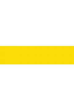 Flag: San Antonio de Palmito  Sucre | Municipio de San Antonio de Palmito  Sucre |  landscape flag | 2.16m² | 23sqft | 100x200cm | 40x80inch 