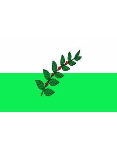 Flag: San Juan de Rioseco  Cundinamarca | Municipio de San Juan de Rioseco  Cundinamarca |  landscape flag | 2.16m² | 23sqft | 120x180cm | 4x6ft 