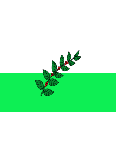 Bandiera: San Juan de Rioseco  Cundinamarca | Municipio de San Juan de Rioseco  Cundinamarca | bandiera paesaggio | 1,35&nbsp;m² | 90&nbsp;×&nbsp;150&nbsp;cm 