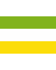 Flag: San Martín  Meta | Municipio de San Nartín de los Llanos  Meta |  landscape flag | 1.35m² | 14.5sqft | 90x150cm | 3x5ft 