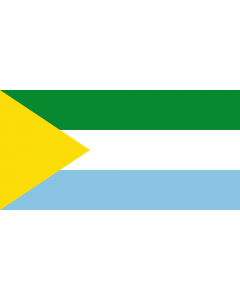 Flag: San Vicente de Caguán  Caquetá | Municipio de San Vicente del Caguán  Caquetá |  landscape flag | 2.16m² | 23sqft | 100x200cm | 40x80inch 