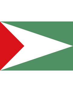 Flag: Sandoná  Nariño | Municipio de Sandoná  Nariño |  landscape flag | 2.16m² | 23sqft | 120x180cm | 4x6ft 