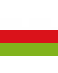 Flag: Sincelejo  Sucre | Municipio de Sincelejo  Sucre |  landscape flag | 1.35m² | 14.5sqft | 90x150cm | 3x5ft 