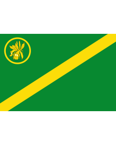 Drapeau: Suaza  Huila | Municipio de Suaza  Huila |  drapeau paysage | 1.35m² | 90x150cm 