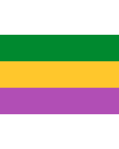 Flag: Tarquí  Huila | Municipio de Tarquí  Huila |  landscape flag | 1.35m² | 14.5sqft | 90x150cm | 3x5ft 