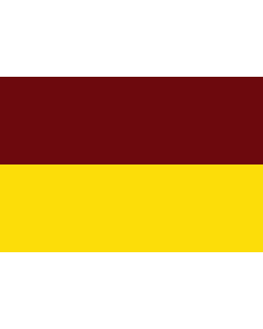 Flag: Tolima, Colombia |  landscape flag | 1.35m² | 14.5sqft | 90x150cm | 3x5ft 