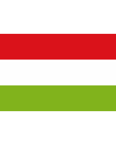 Flag: Une  Cundinamarca | Municipio de Une  Cundinamarca |  landscape flag | 2.16m² | 23sqft | 120x180cm | 4x6ft 