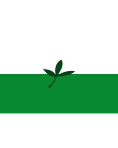 Flag: Vaupés, Colombia |  landscape flag | 1.35m² | 14.5sqft | 90x150cm | 3x5ft 