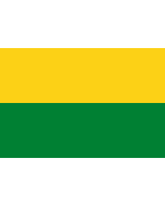 Flag: Vichada department, Colombia |  landscape flag | 2.16m² | 23sqft | 120x180cm | 4x6ft 