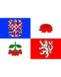Flag: Vysočina Region |  landscape flag | 0.7m² | 7.5sqft | 70x100cm | 2x3ft 