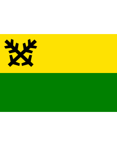 Flag: Municipal flag of Batňovice village |  landscape flag | 1.35m² | 14.5sqft | 90x150cm | 3x5ft 