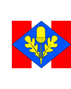 Flag: Municipal flag of Brněnec village |  landscape flag | 2.16m² | 23sqft | 120x180cm | 4x6ft 