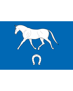 Flag: Brno-Ivanovice |  landscape flag | 2.16m² | 23sqft | 120x180cm | 4x6ft 