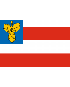 Flag: Brno-Nový Lískovec |  landscape flag | 2.16m² | 23sqft | 120x180cm | 4x6ft 