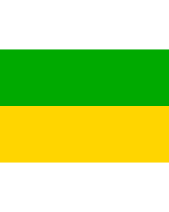 Flag: Dasnice municipality |  landscape flag | 0.06m² | 0.65sqft | 20x30cm | 8x12in 