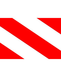 Flag: Dobruska | Dobruška  city in Czechia |  landscape flag | 1.35m² | 14.5sqft | 90x150cm | 3x5ft 