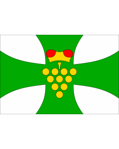 Flagge:  Domanin HO CZ | Municipal flag of Domanín village | Domanín, okres Hodonín  |  Querformat Fahne | 0.06m² | 20x30cm 