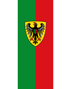 Bandera de Bandera vertical con potencia Esslingen am Neckar | bandera vertical | 3.5m² | 300x120cm