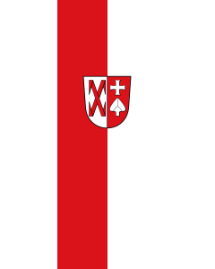 Flag: Ditzingen |  portrait flag | 6m² | 64sqft | 400x150cm | 13x5ft 