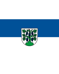Flag: Gemmrigheim |  landscape flag | 1.35m² | 14.5sqft | 90x150cm | 3x5ft 