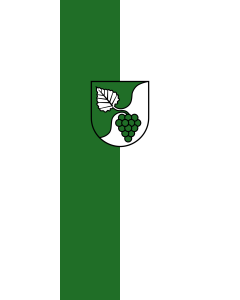 Bandera de Bandera vertical con potencia Aspach | bandera vertical | 3.5m² | 300x120cm