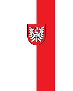 Flag: Heilbronn (Kreis) |  portrait flag | 3.5m² | 38sqft | 300x120cm | 10x4ft 