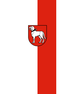 Flag: Brackenheim |  portrait flag | 3.5m² | 38sqft | 300x120cm | 10x4ft 