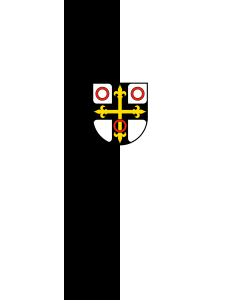 Bandera de  Neckarsulm |  bandera vertical | 6m² | 400x150cm 