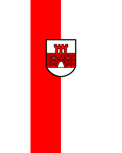 Bandera de Bandera vertical con potencia Roigheim | bandera vertical | 3.5m² | 300x120cm