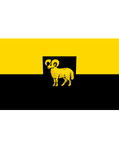 Flag: Widdern |  landscape flag | 1.35m² | 14.5sqft | 90x150cm | 3x5ft 