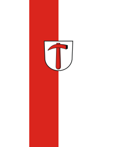 Bandera de Bandera vertical con potencia Neuenstein | bandera vertical | 3.5m² | 300x120cm