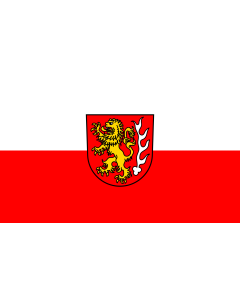 Flag: Rainau |  landscape flag | 1.35m² | 14.5sqft | 90x150cm | 3x5ft 