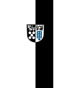 Bandera de Bandera vertical con potencia Oberderdingen | bandera vertical | 3.5m² | 300x120cm