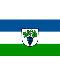 Bandera de Weingarten (Baden) | bandera horizontal | 1.35m² | 90x150cm
