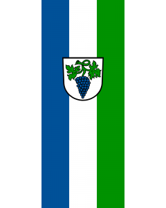 Vertical Hanging Beam Flag: Weingarten (Baden) |  portrait flag | 3.5m² | 38sqft | 300x120cm | 10x4ft 