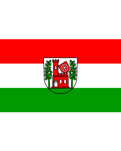 Flag: Walldürn |  landscape flag | 1.35m² | 14.5sqft | 90x150cm | 3x5ft 