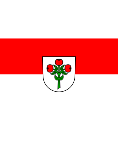 Flag: Schwarzach |  landscape flag | 1.35m² | 14.5sqft | 90x150cm | 3x5ft 
