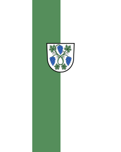 Bandera de Bandera vertical con potencia Dossenheim | bandera vertical | 6m² | 400x150cm